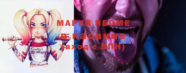сатива Богородицк