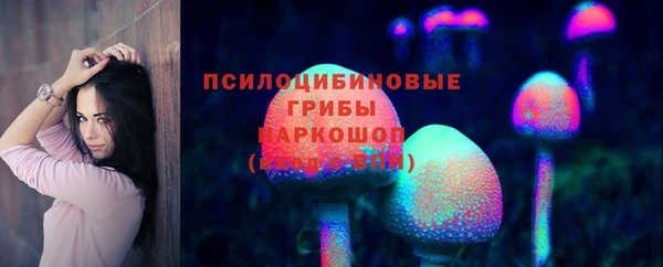 сатива Богородицк