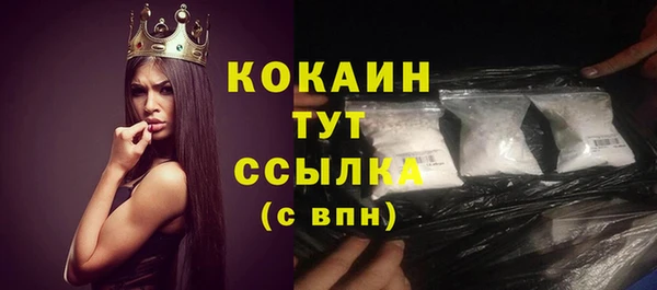 сатива Богородицк