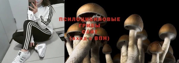 гашишное масло Богородск