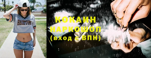 сатива Богородицк
