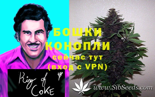 сатива Богородицк