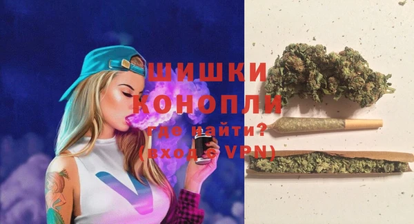 сатива Богородицк